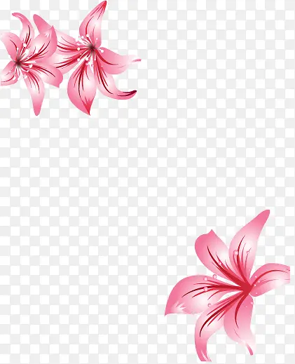 ����png�ز�-������