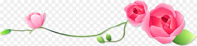 ��ͨõ�廨��֦�߿��ز�-������