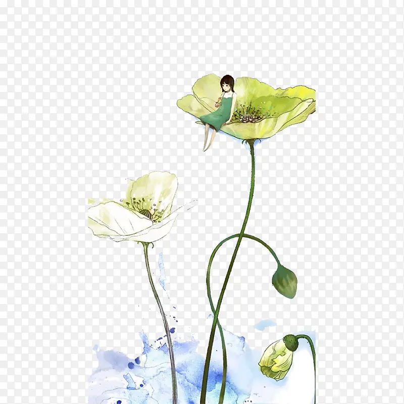 �廭-������