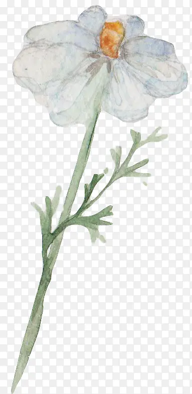 ˮ��ֲ��-������