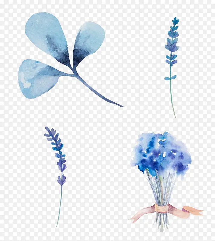 ����ˮ��ֲ��-������