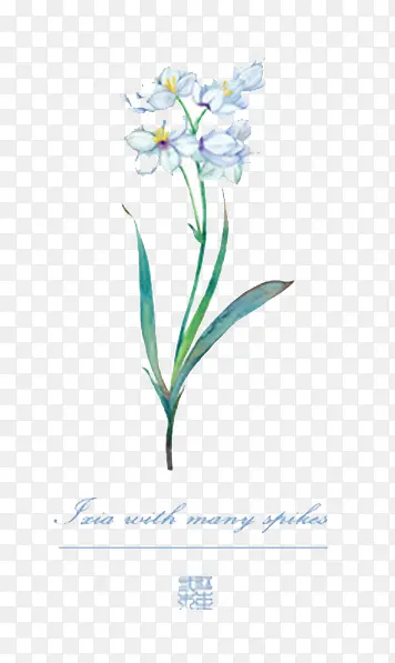 ˮ�ʻ��� ����-������