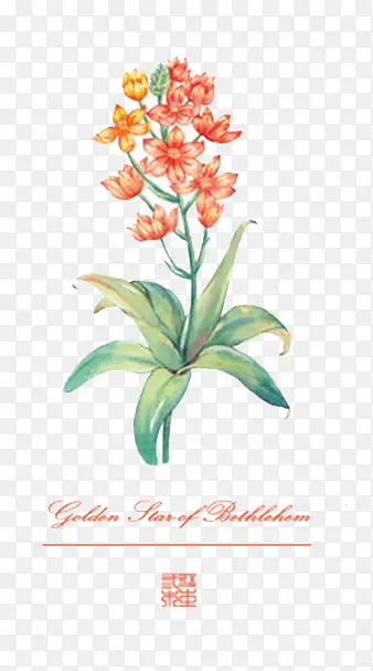 ˮ�ʻ��� ����-������