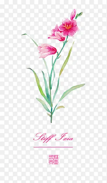 ˮ�ʻ���-������