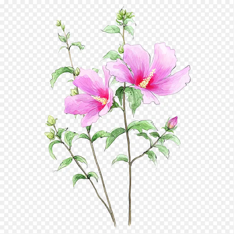 ˮ�ʻ��䱳��-������