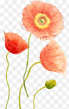 ˮ�ʻ�����-������