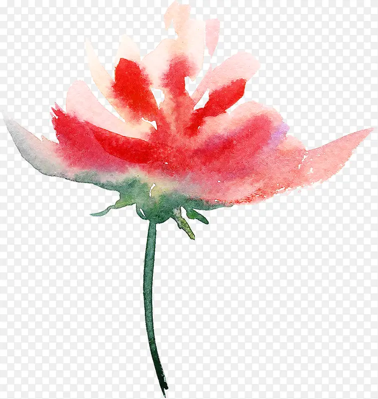 ˮ��һ֦��-������