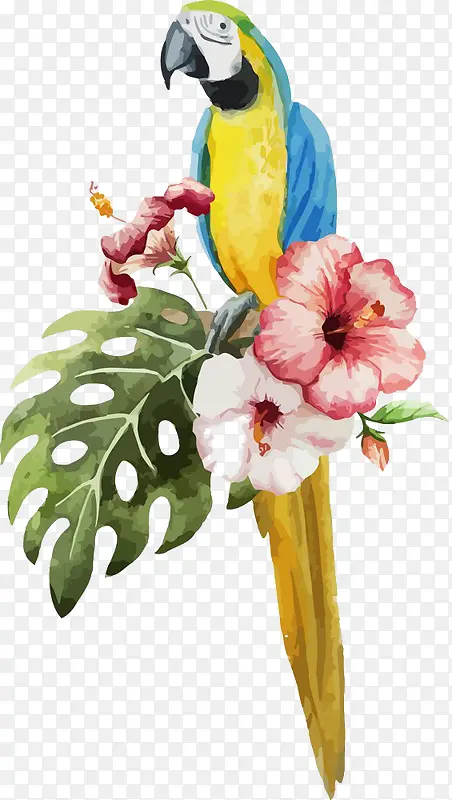 ˮ�������ʻ��廭-������