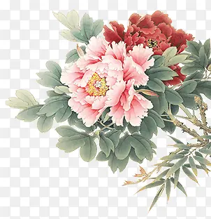 ˮ�ʻ�ֲ�ﻨ��װ��-������