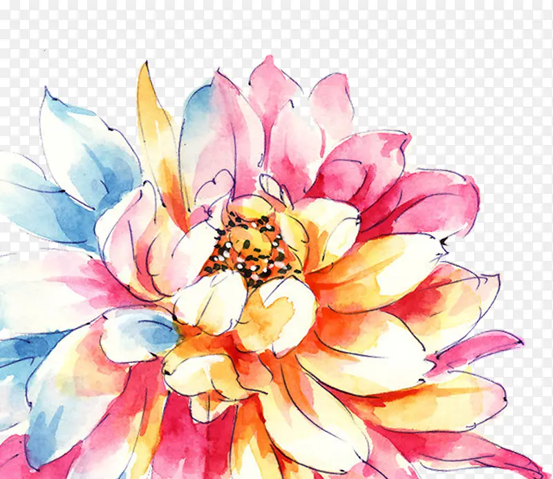 ˮ���߲ʻ���ֲ��-������