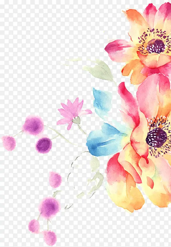 ��ɫˮ�ʻ���ֲ��-������