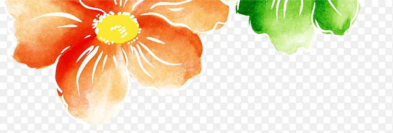 ��ɫˮ����ƻ���-������