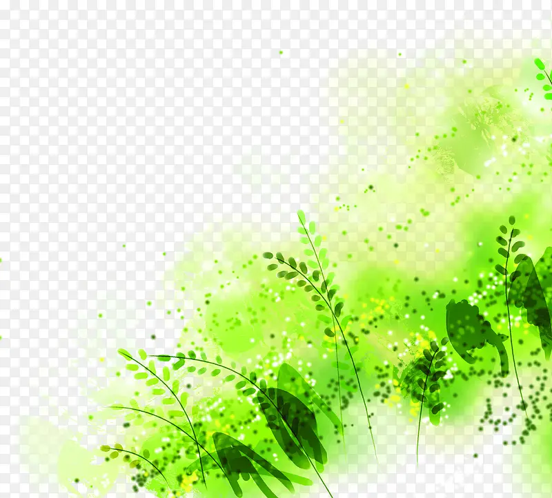 ��ɫʱ��ˮ�ʻ���ֲ��-������