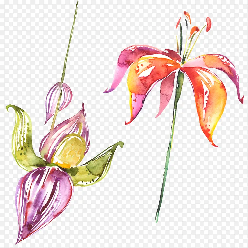 ˮ�ʻ���Ҷ��-������