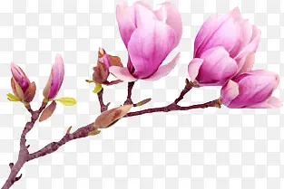 ˮ�ʹŵ仨����-������