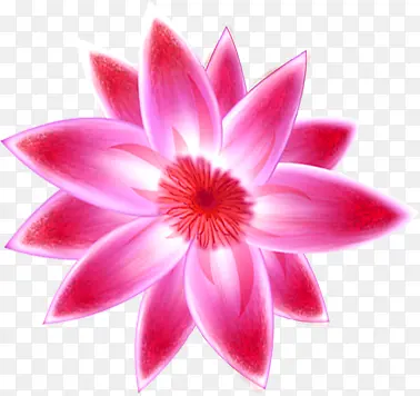 ��ɫ����ˮ�ʻ���-������