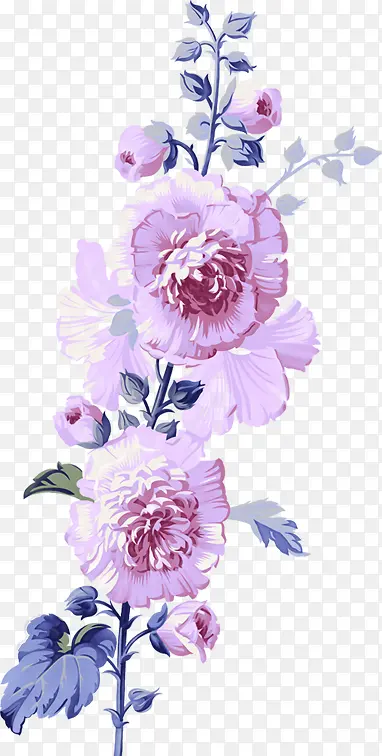 Ψ��ˮ�ʻ������-������