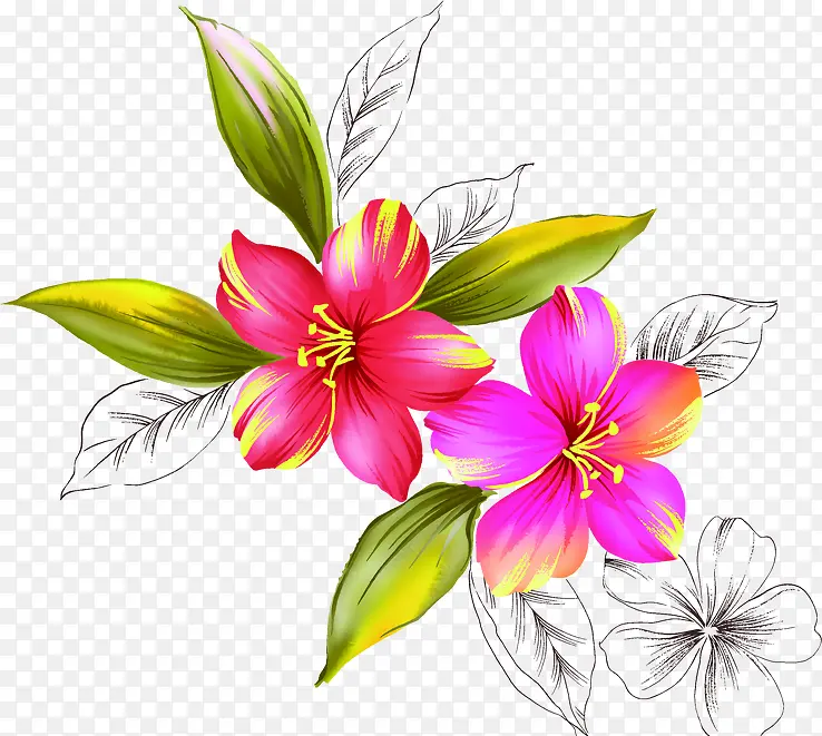 ��ɫʱ��ˮ�ʻ������-������