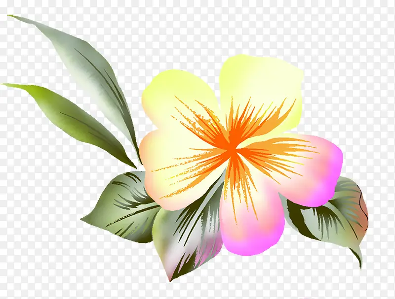 ʱ�е���ˮ�ʻ������-������