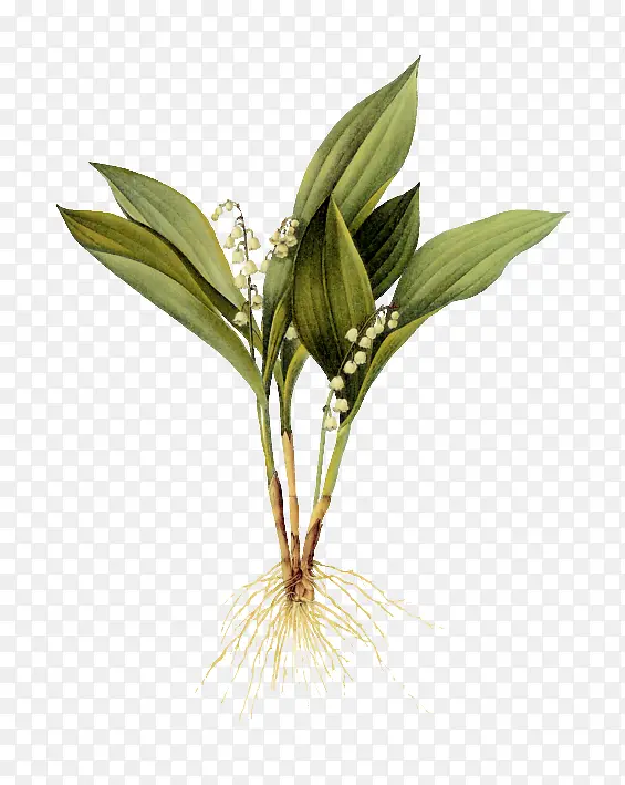 ˮ�ʻ�����-������