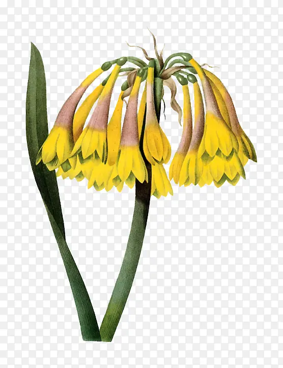 ˮ�ʻ���-������