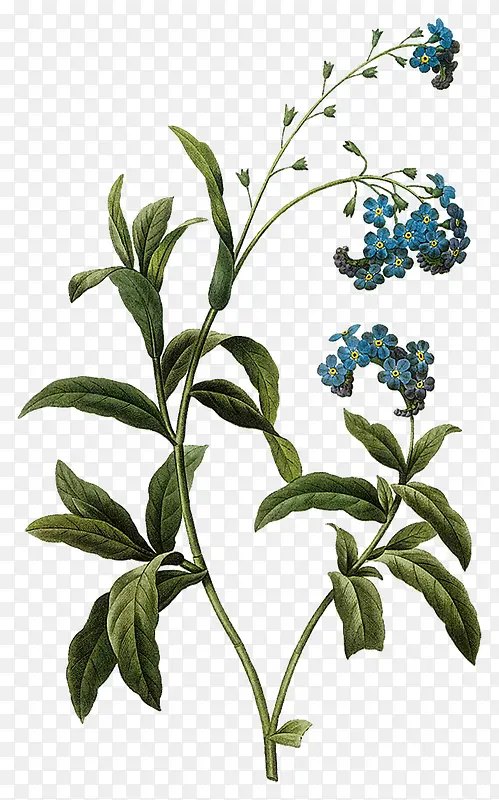 ˮ�ʻ���-������