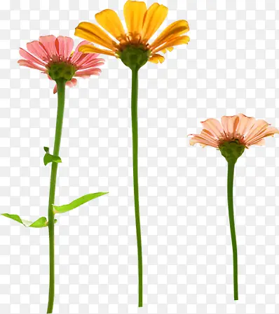 ��ɫˮ�ʻ�������-������