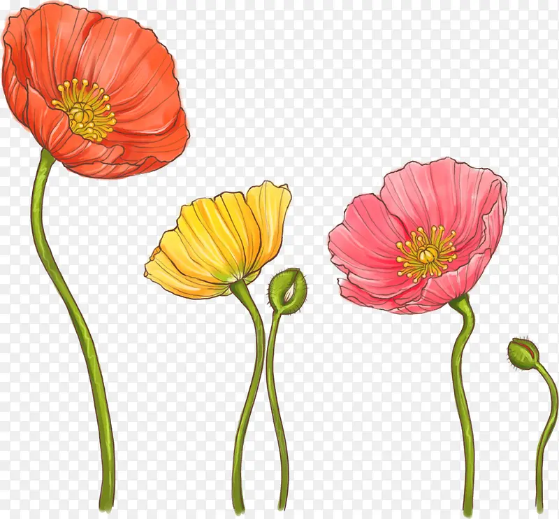 ��ɫˮ�ʻ���֦��-������