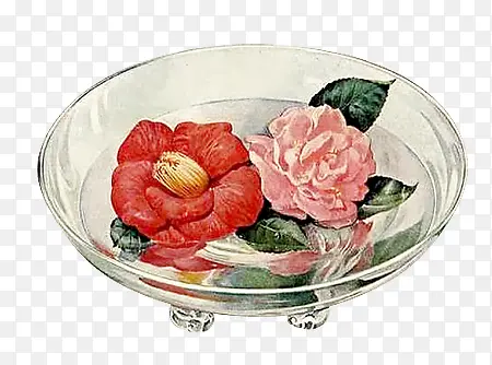 ��ɫ����ˮ�����-������