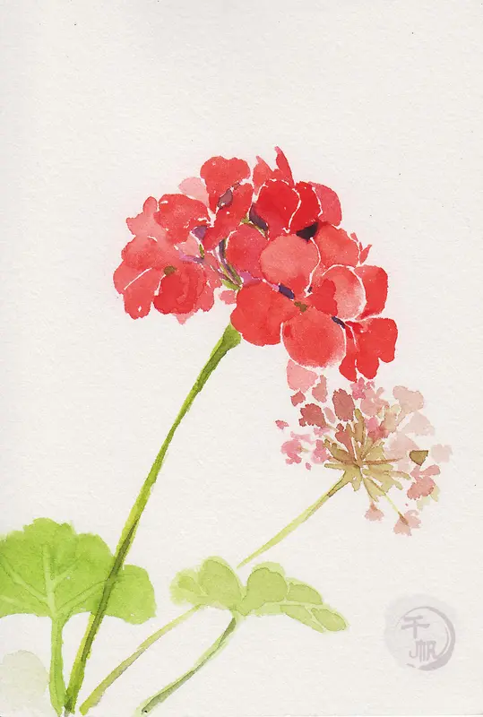 ��������ˮ�ʻ���-������