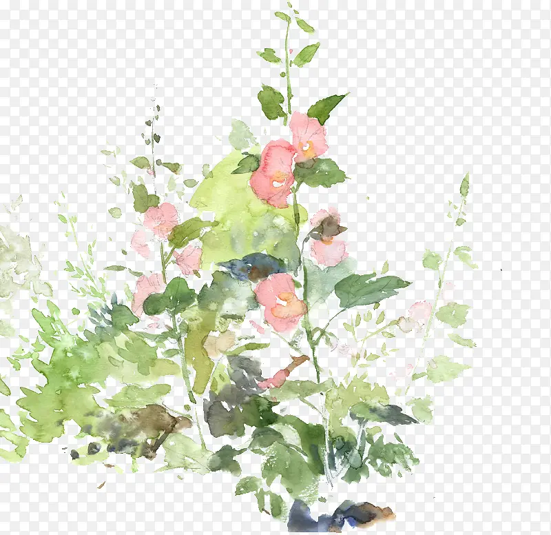 ˮ�ʻ��仨��-������