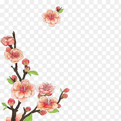 ˮ�ʻ���ֲ��-������