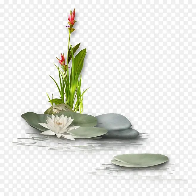 ˮ�ʻ���ˮ�ϻ���-������