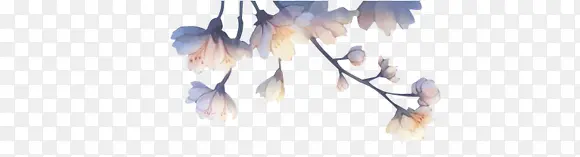 ˮ�ʻ��仨Ҷ-������