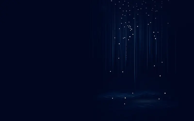 ��Ч����ʸ�������ز�-������