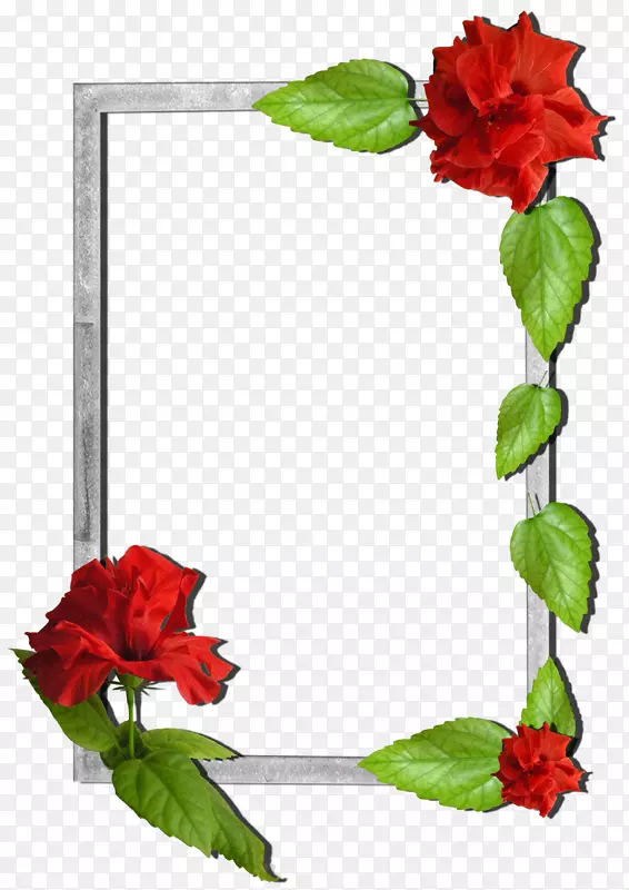 ��򣬻���-������