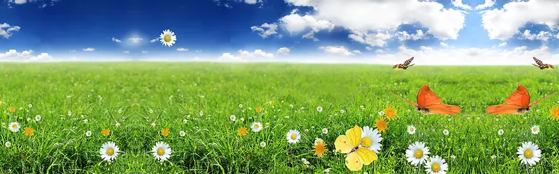 ȫ������ banner�������ֲ�-������