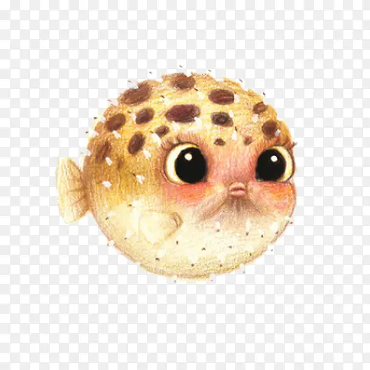 ��ͨС��-������