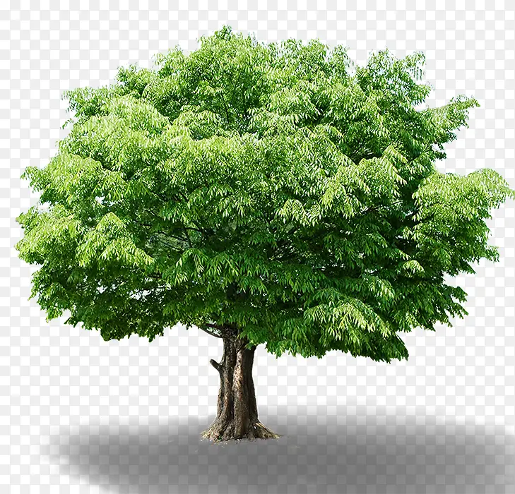 ��-������