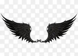 ��ɫ���-������