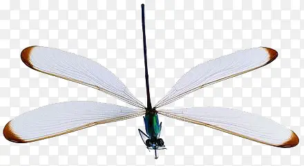 ����-������