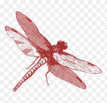 ��ͨ����-������