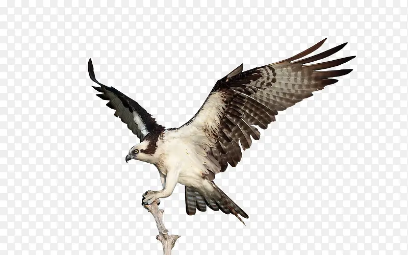 Ư������-������