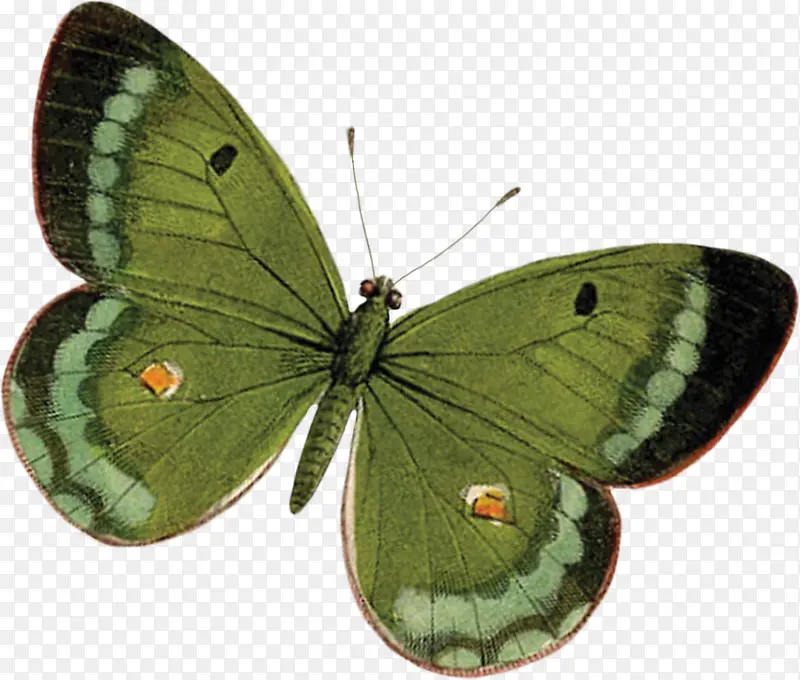 ����ͼƬ-������