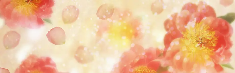 ���ﻨ�㰮����������-������