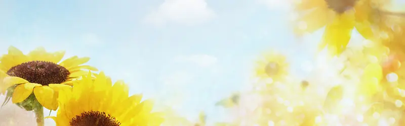 ���ﻨ�㰮����������-������