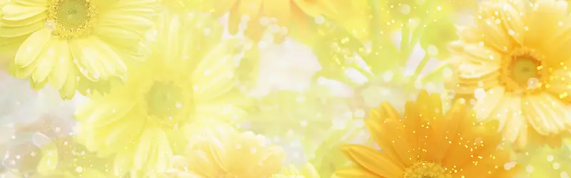 ���ﻨ�㰮����������-������