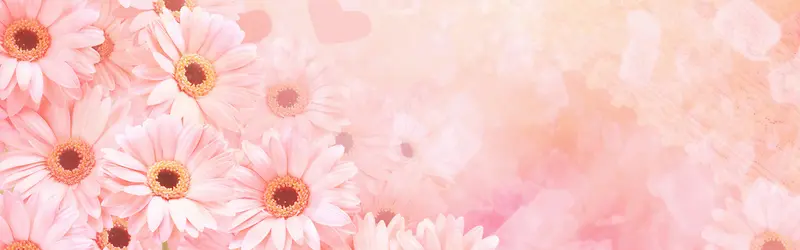 ���ﻨ�㰮����������-������