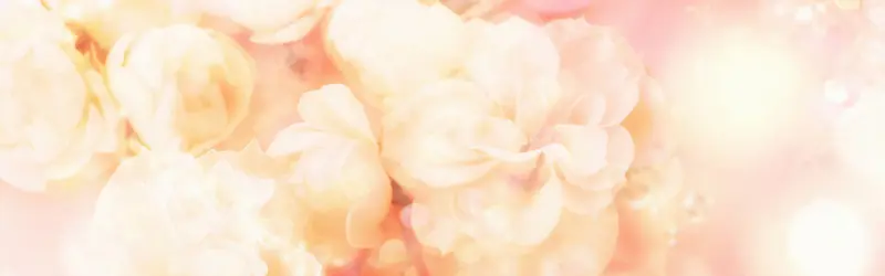 ���ﻨ�㰮����������-������