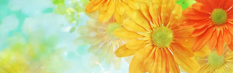 ���ﻨ�㰮����������-������